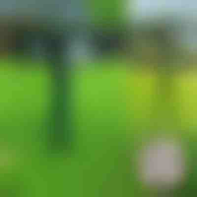 Συσκευή απώθησης ζώων με υπερήχους | SONICFIELD