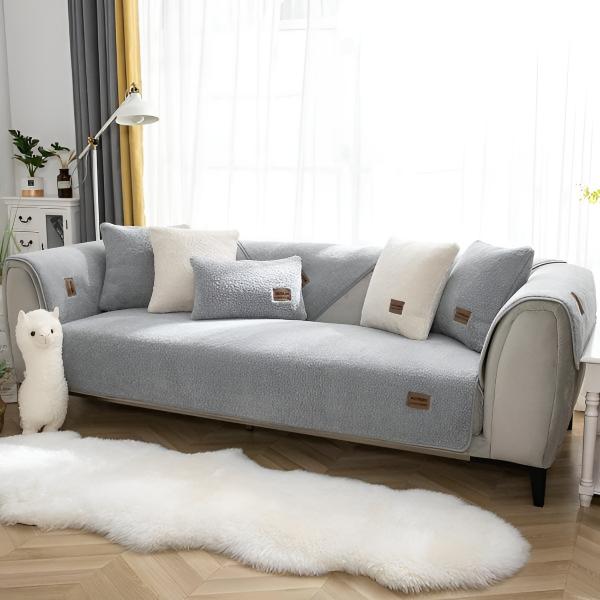SOFTOPIA12371