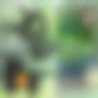 Κλιπς φυτών (14τμχ) | PLANTPIN