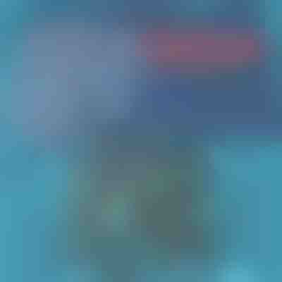 Ελαφρύ και γρήγορο στέγνωμα μαγιό για άνδρες | TOGGIES