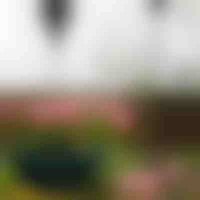 Ανασυρόμενη κρεμάστρα φυτών | PLANTPULL