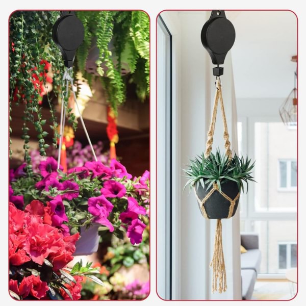 PLANTPULL16100__95a23cc0