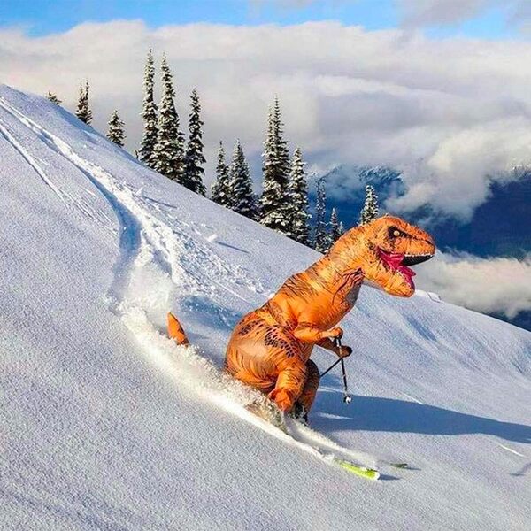 TREXCOS