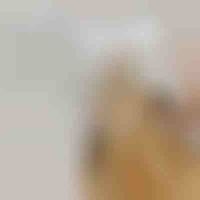 Επαναφορτιζόμενη βούρτσα ατμού ψεκασμού για κατοικίδια για μάδημα | GROOMSY