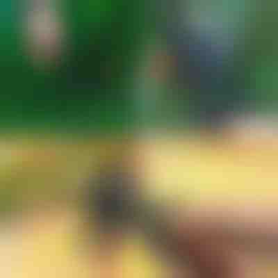 Ψαλίδι κλαδέματος και μπολιάσματος | MASTERCUT