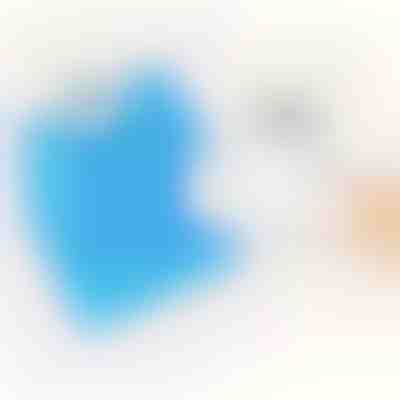 4x πανάκια στεγνού σκουπίσματος | SWEEPICLOTH