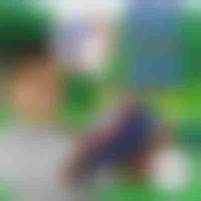 10+10 ΔΩΡΕΑΝ βέλη αφρού για το BLASTKID | F2OAMBULLETS