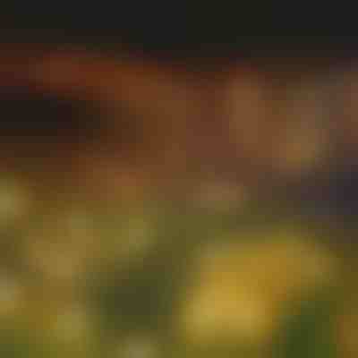 Ηλιακά φωτιστικά κήπου (θερμό φως) | SOMPEX