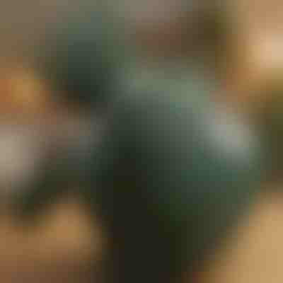 Θερμαινόμενο μαξιλάρι μασάζ σιάτσου | MASSORA