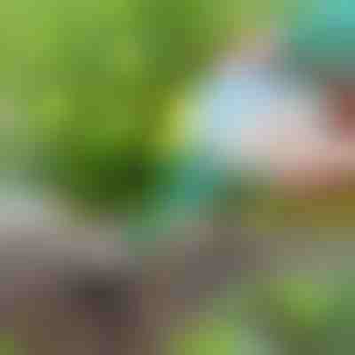 Πρακτικός διανομέας σπόρων