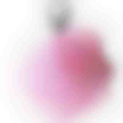 Σφουγγάρι ντους από δίχτυ