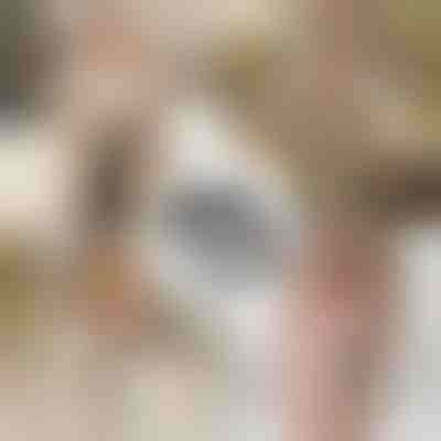 Συμπαγές πορτοφόλι με φερμουάρ | WALLEO